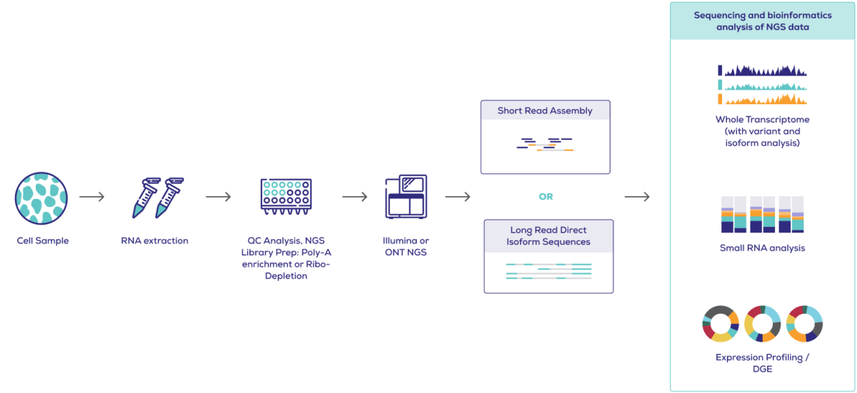 Transcriptomics & Gene Expression Analysis – ACGT